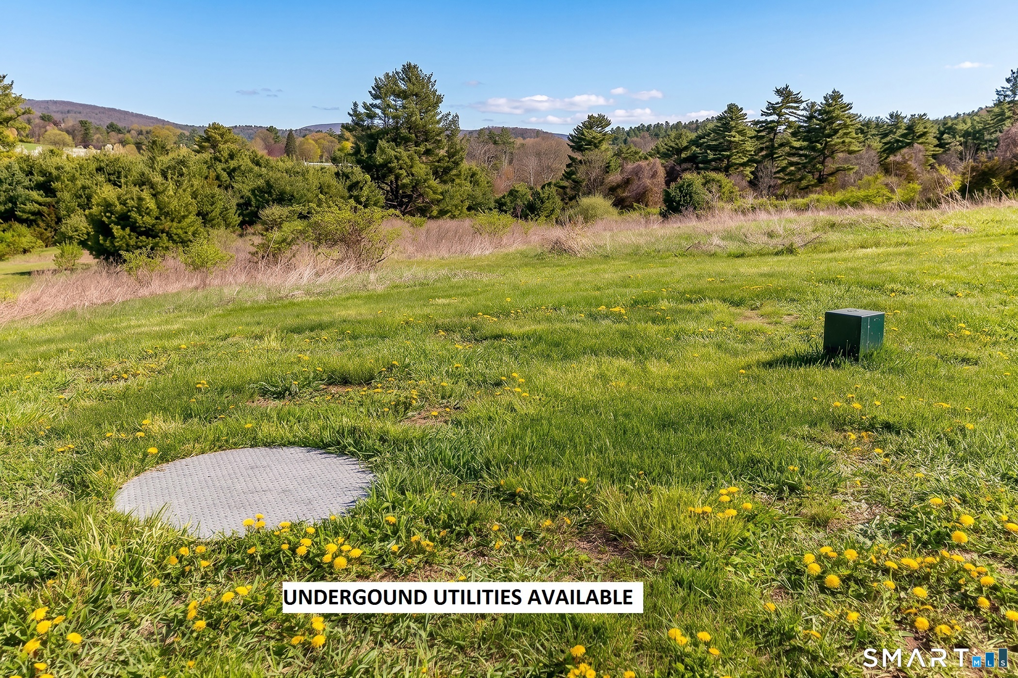 8 Red Mountain Road Salisbury, CT 06039 - Photo 24 of 24
