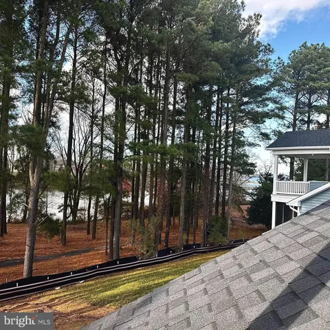 a view of a backyard with large trees