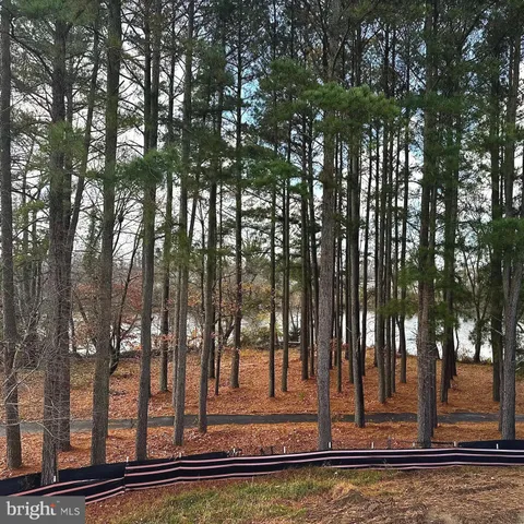 a view of a swimming pool with trees
