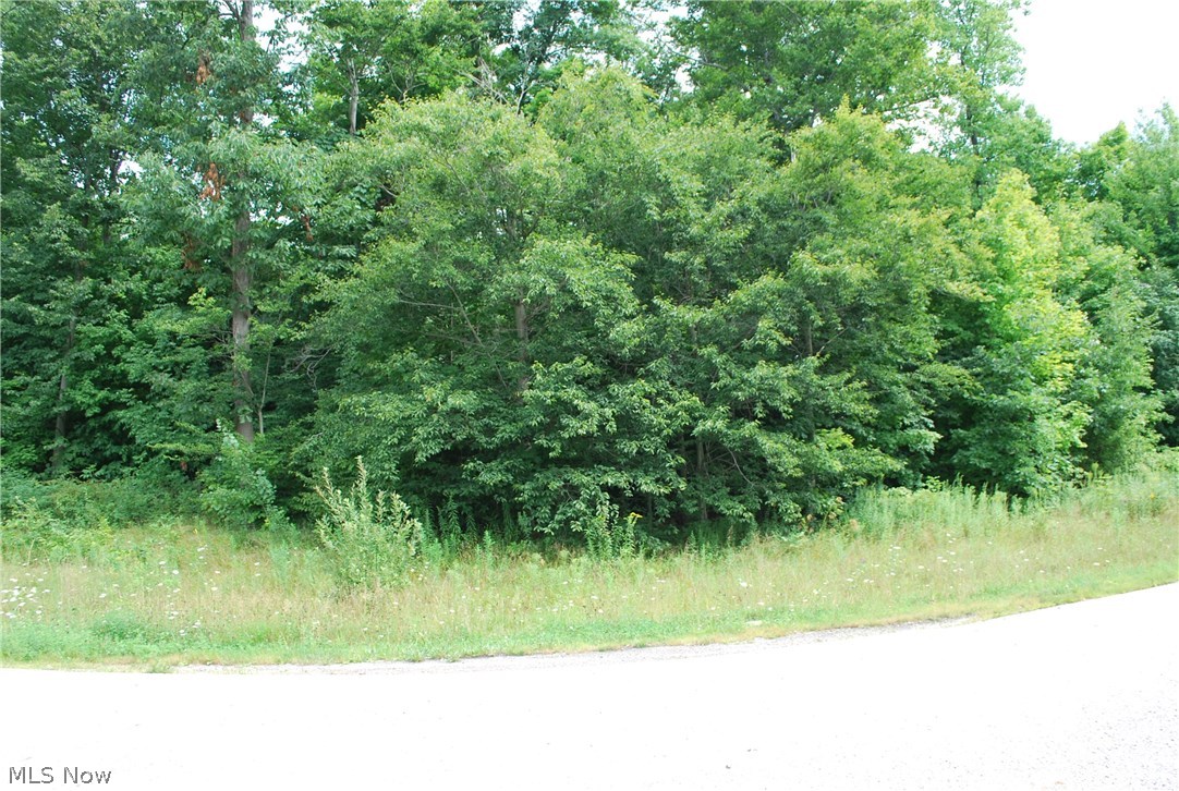 37 Barnstable Road Middlefield, OH 44062 - Photo 4 of 6