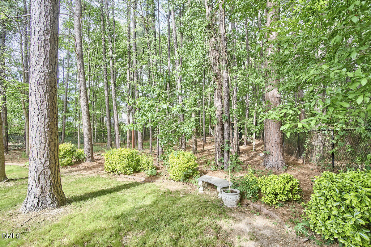 8030 Sundance Circle Durham, NC 27713 - Photo 57 of 61 a view of a backyard with plants and large trees