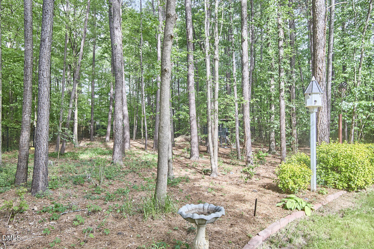 8030 Sundance Circle Durham, NC 27713 - Photo 59 of 61 015