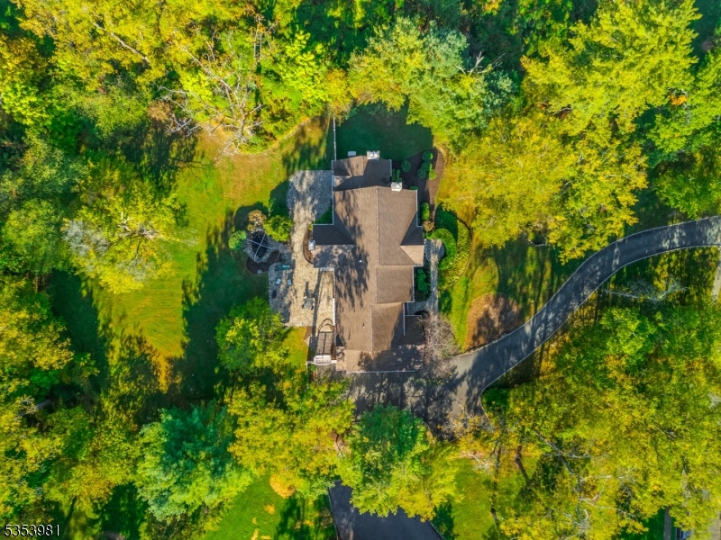 45 Butternut Lane Bernards, NJ 07920 - Photo 9 of 11