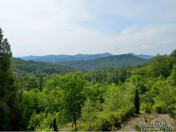 118 Dalya Road Swannanoa, NC 28778 - Photo 18 of 25 Gallery Image 18