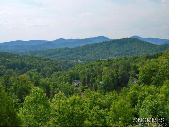 118 Dalya Road Swannanoa, NC 28778 - Photo 25 of 25 Gallery Image 25