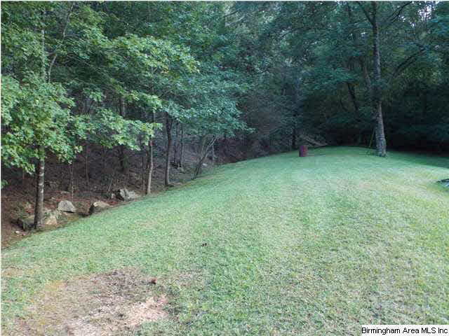 5969 County Road 20 Oneonta, AL 35121 - Photo 14 of 18