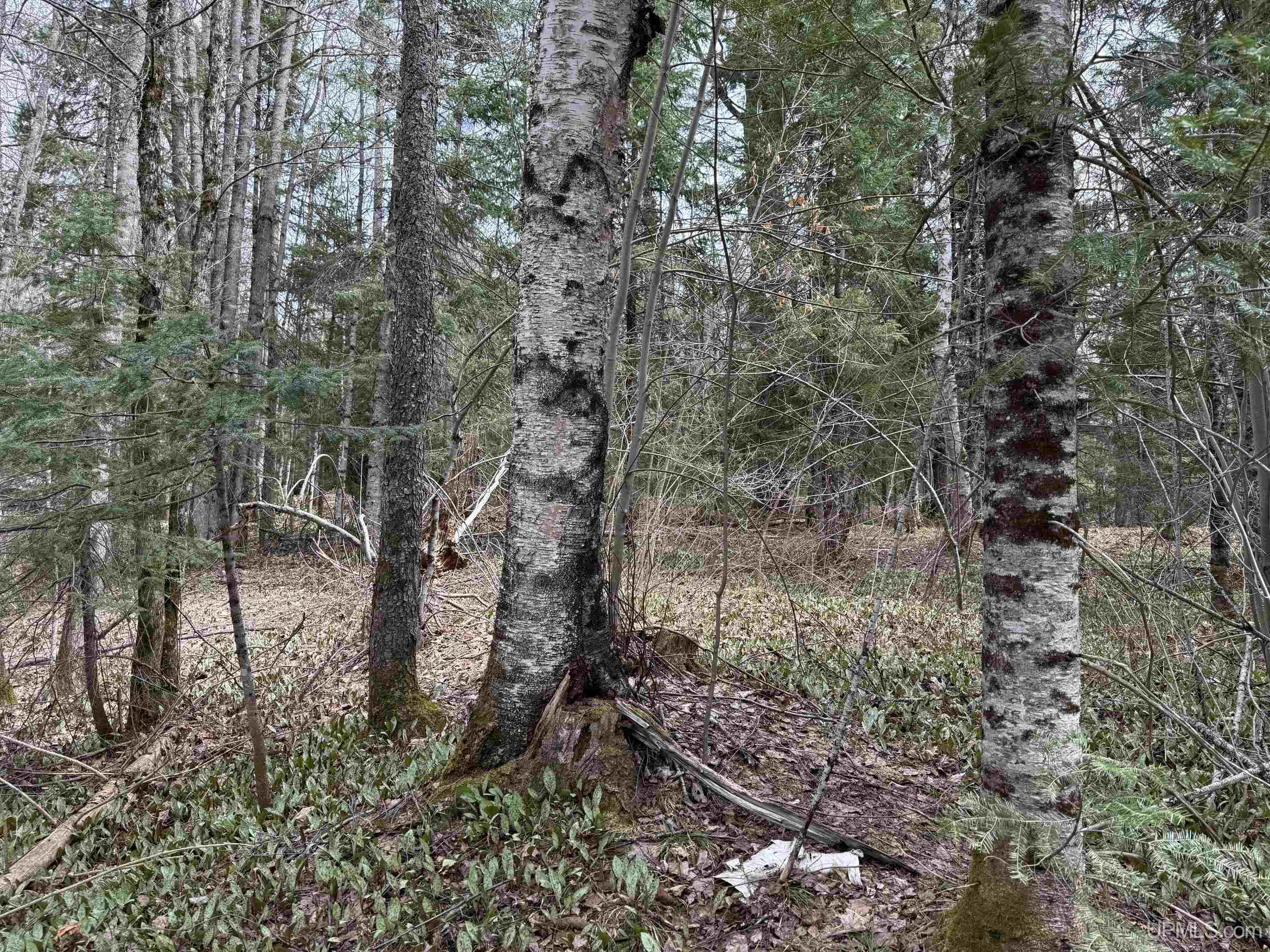 37373 Crooked Road Chassell, MI 49916 - Photo 18 of 24