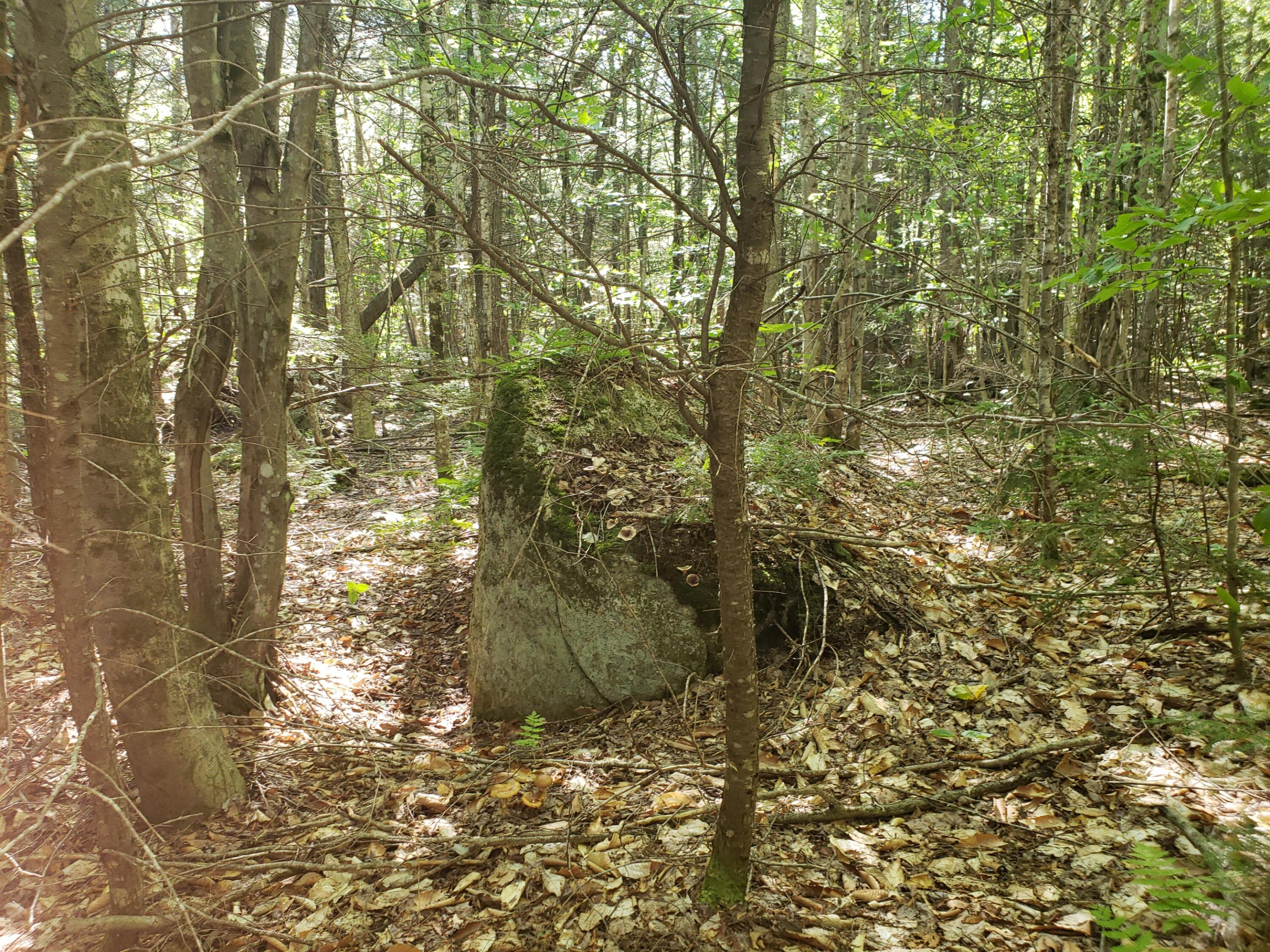 0 Off Mountain Stoneham, ME 04231 - Photo 27 of 32 big boulder area under ledge