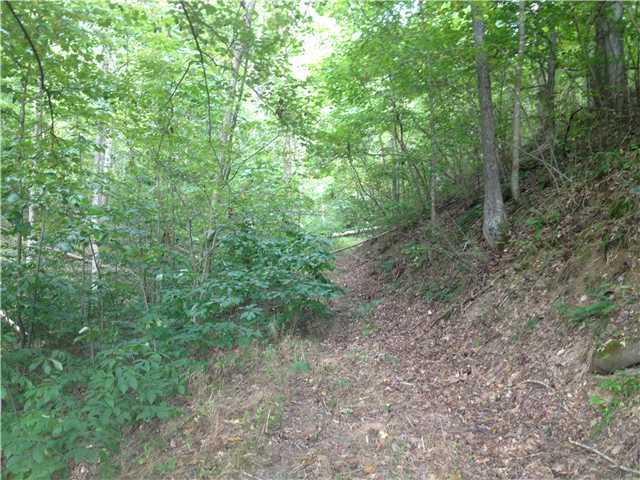 0 Mcgill Road Guysville, OH 45735 - Photo 2 of 11