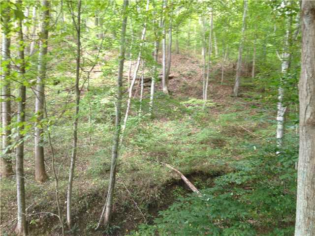 0 Mcgill Road Guysville, OH 45735 - Photo 7 of 11