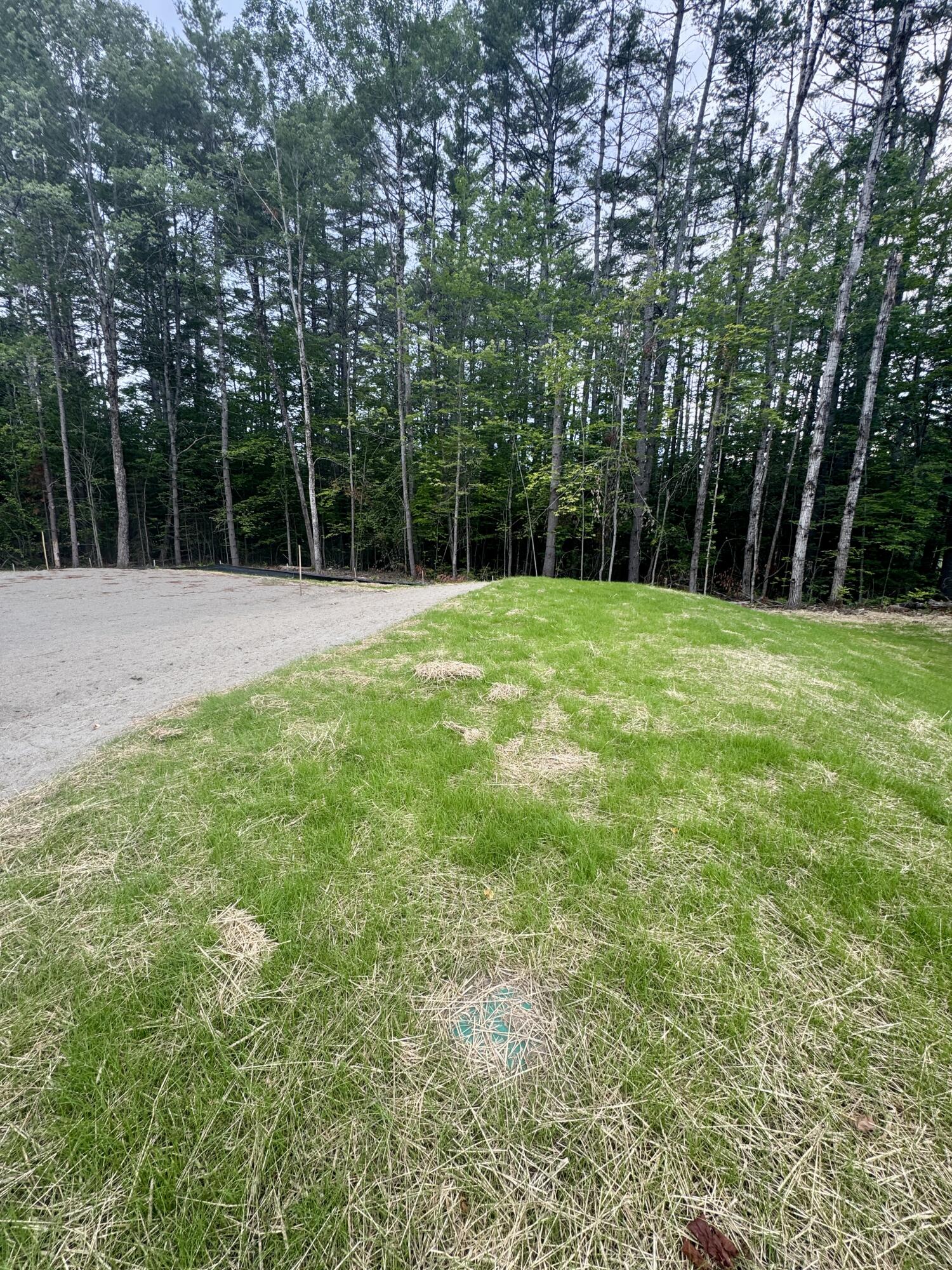 Lot 10 Old Norridgewock Road Fairfield, ME 04937 - Photo 5 of 7 IMG_4715