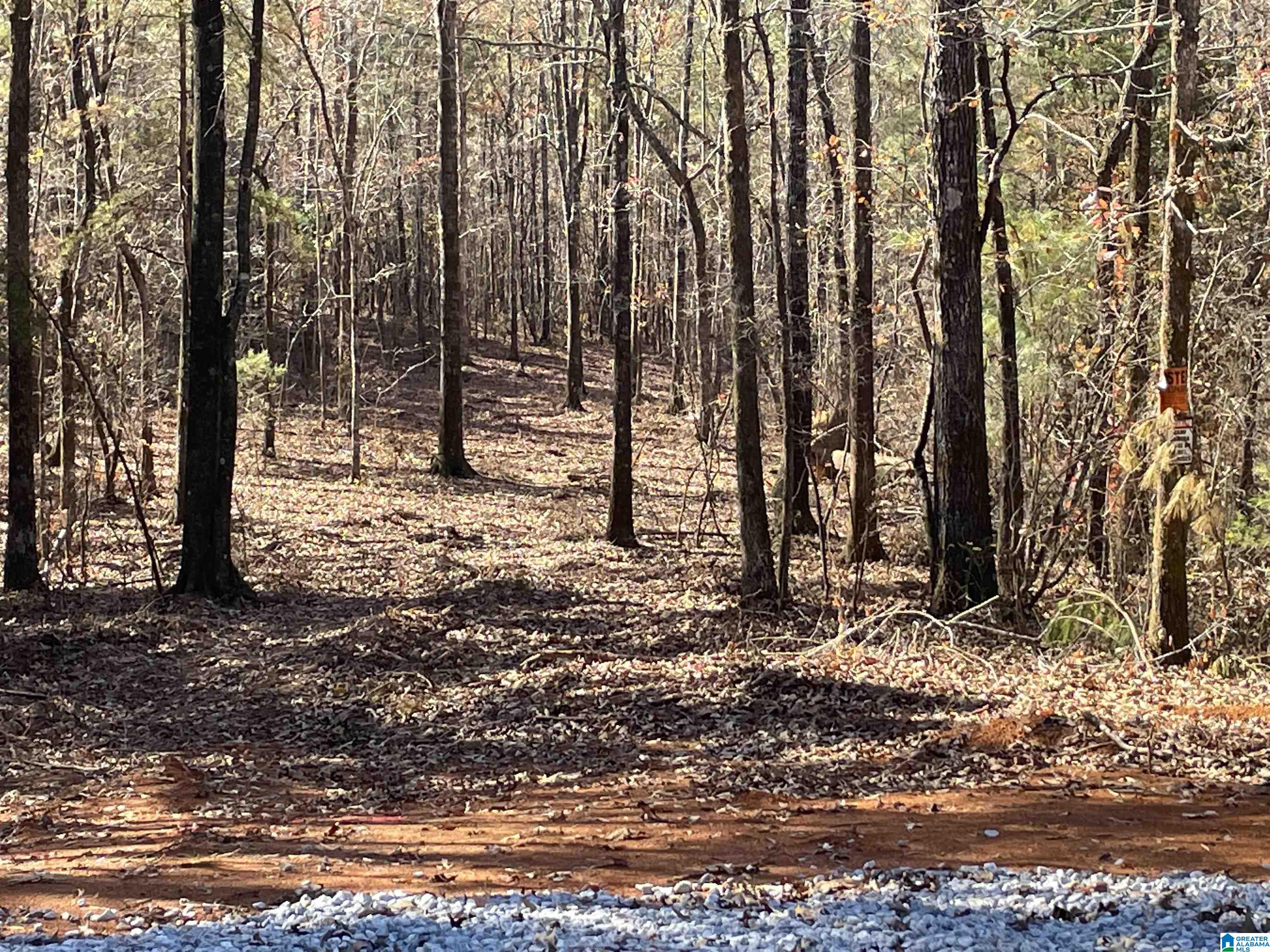 357 Ronbar Road, Unit 3 Columbiana, AL 35051 - Photo 1 of 6