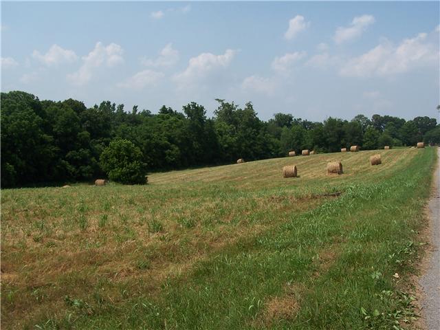 1 South Hire Road Springfield, TN 37172 - Photo 3 of 9
