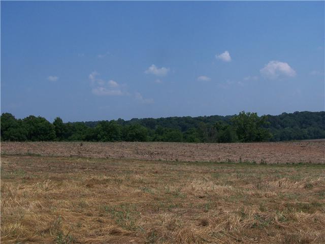1 South Hire Road Springfield, TN 37172 - Photo 8 of 9