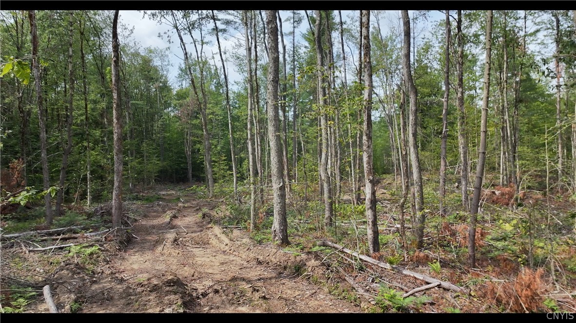 10133 Penfield Road Camden, NY 13316 - Photo 6 of 10 Gallery Image 6
