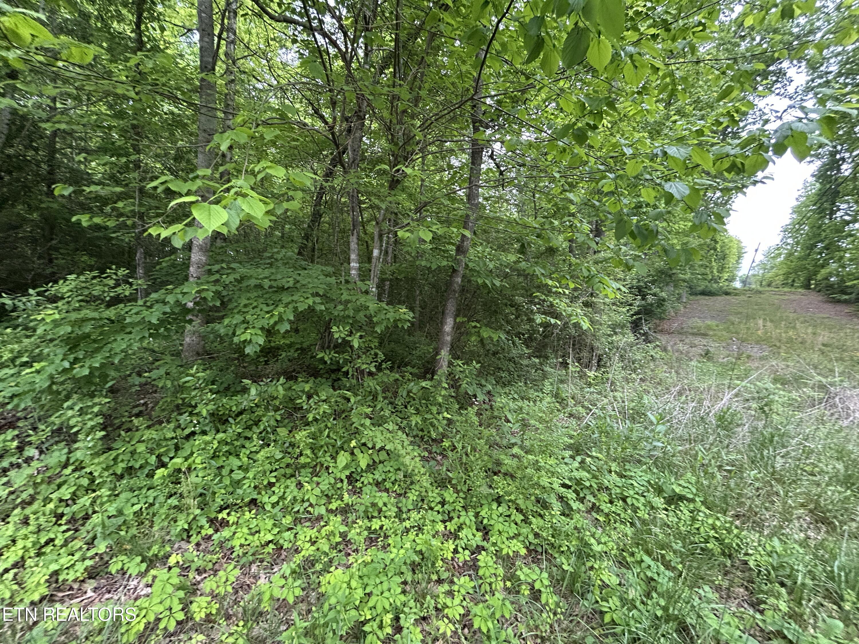 Hensley Road Jamestown, TN 38556 - Photo 2 of 4 IMG_3778