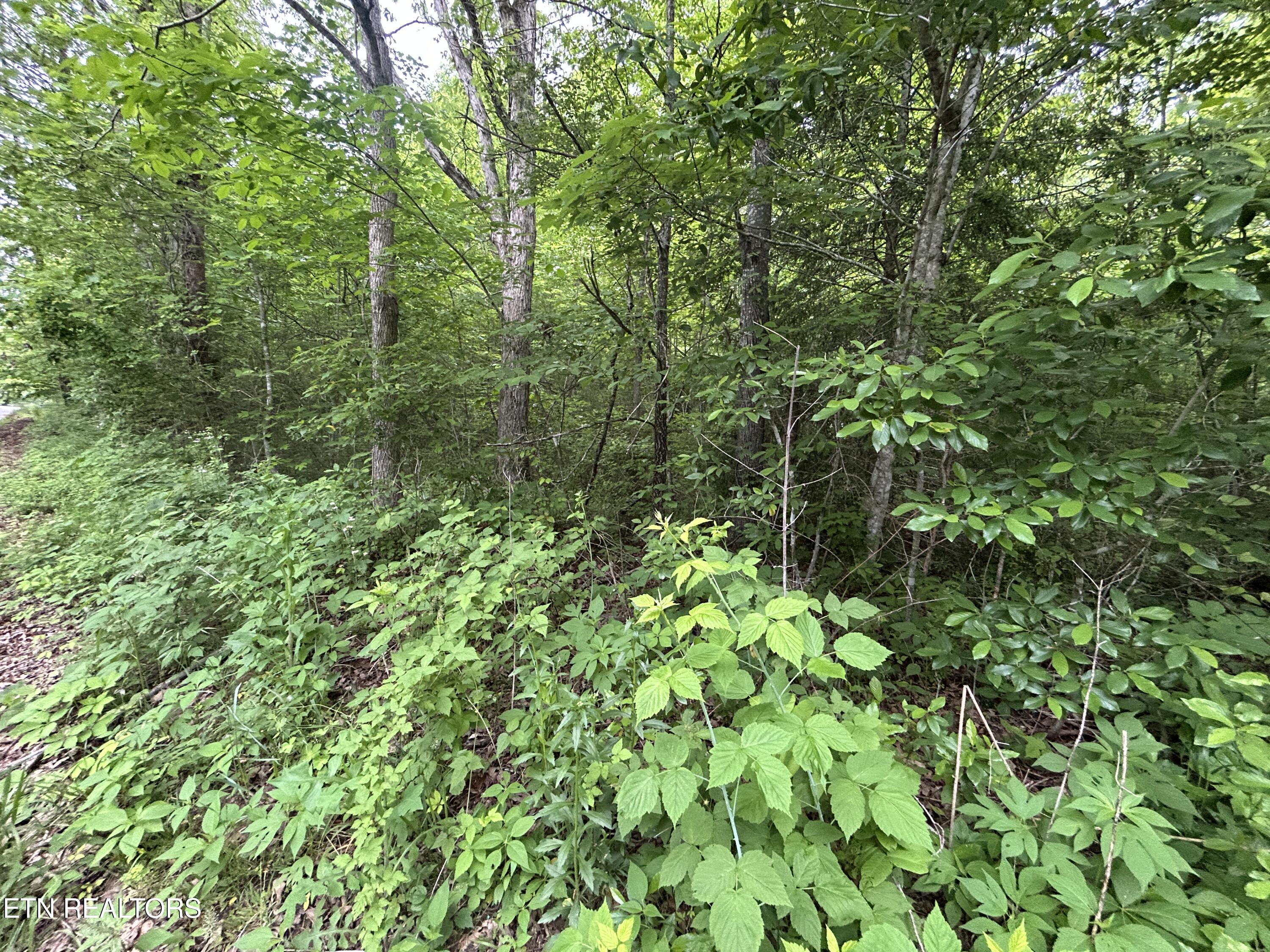 Hensley Road Jamestown, TN 38556 - Photo 4 of 4 IMG_3776