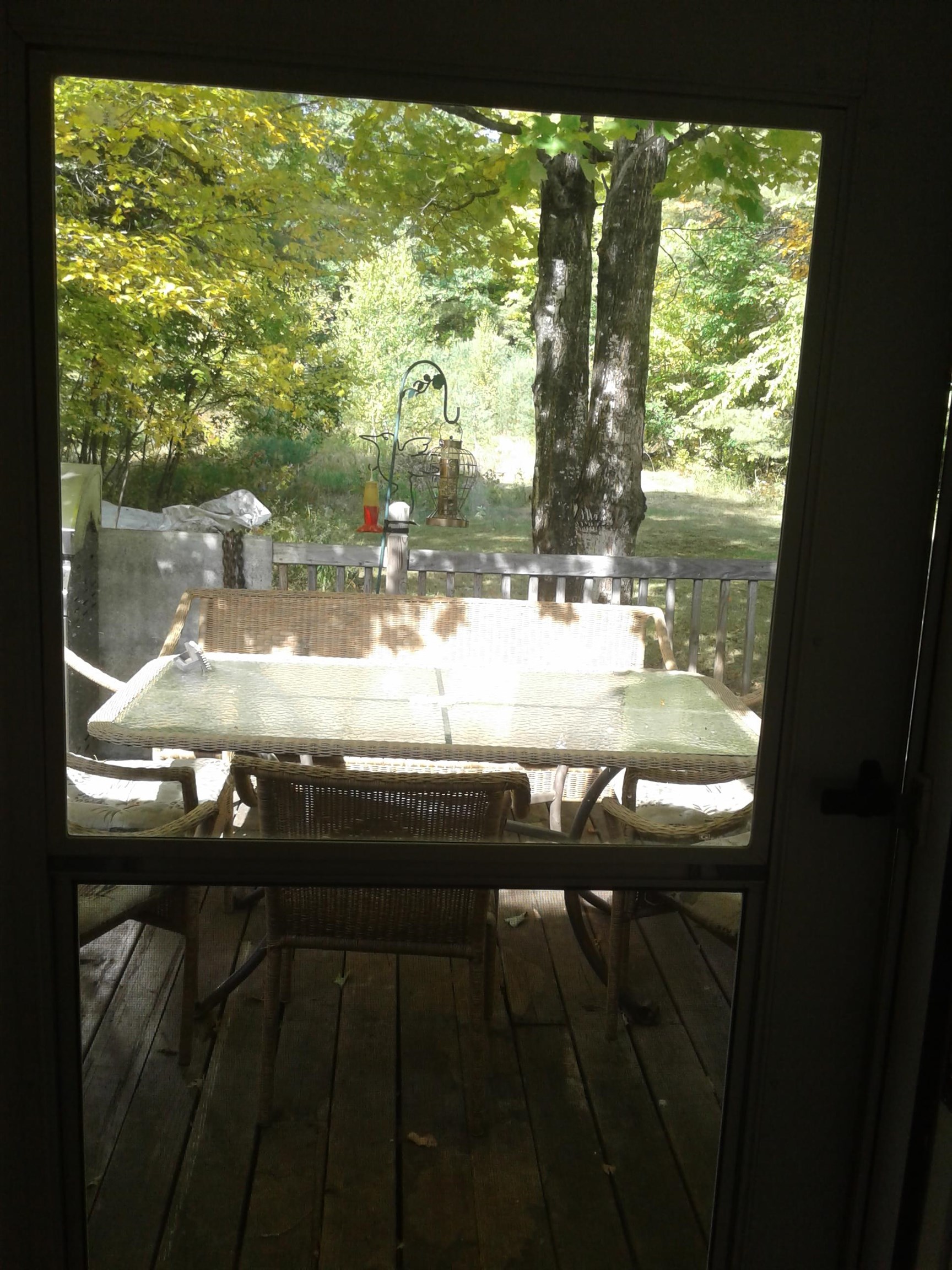 6 Jack Wells Road Danbury, NH 03230 - Photo 18 of 28 Gallery Image 18