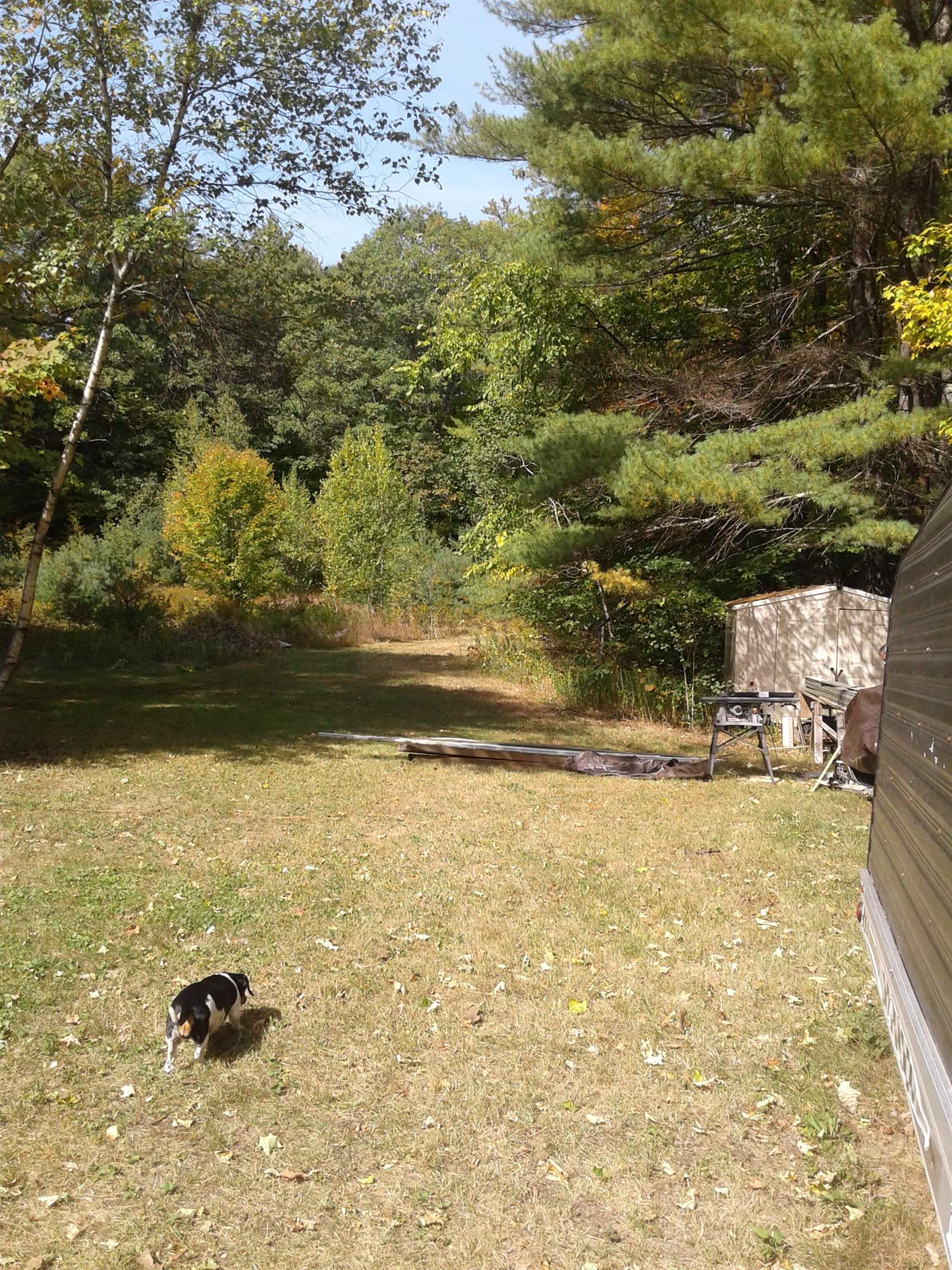 6 Jack Wells Road Danbury, NH 03230 - Photo 20 of 28 Gallery Image 20