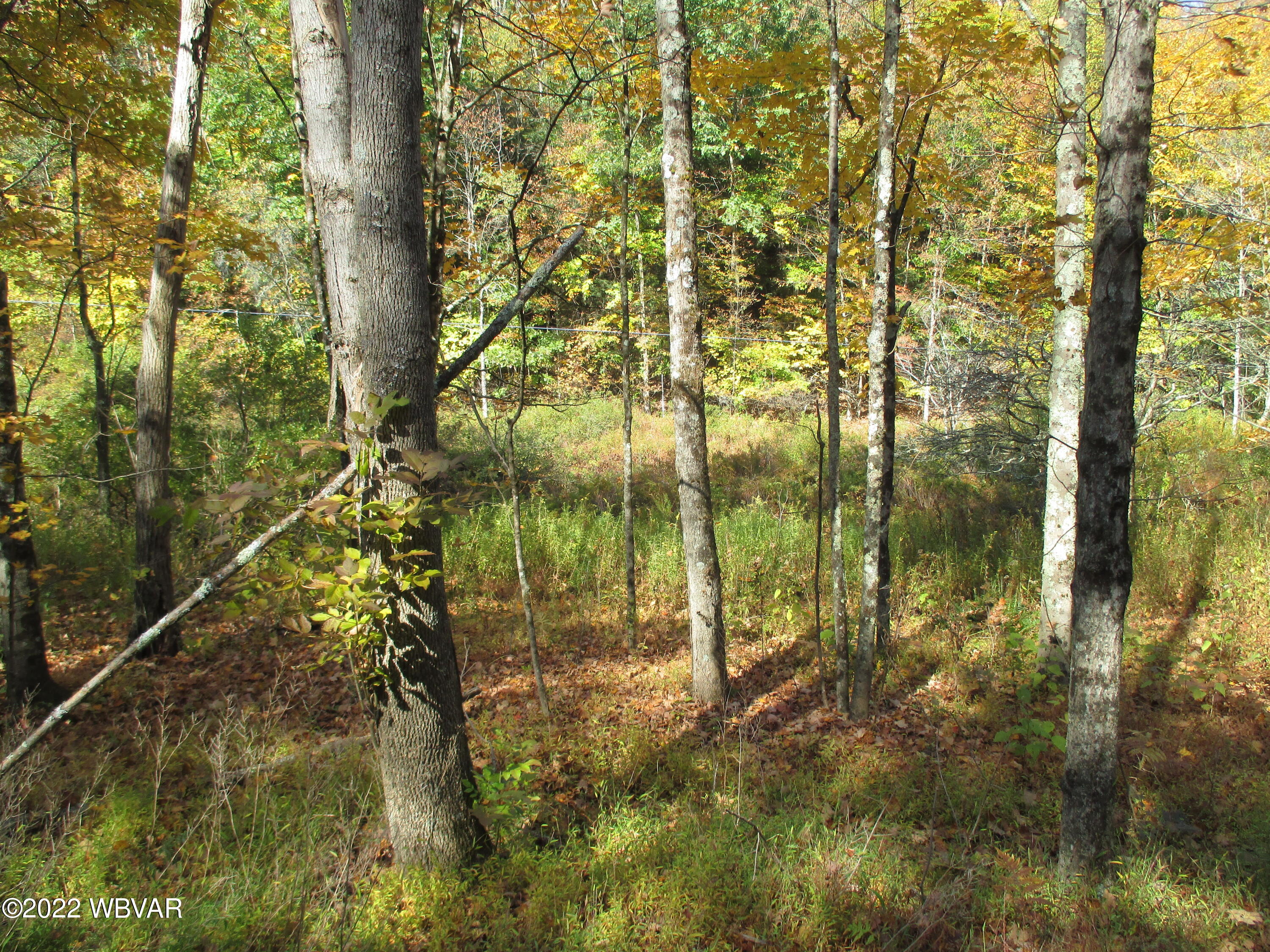 Lake Road Muncy Valley, PA 17758 - Photo 2 of 26 Gallery Image 2