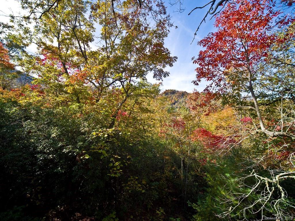 721 Moody Bridge Road Cullowhee, NC 28723 - Photo 17 of 26 Gallery Image 17