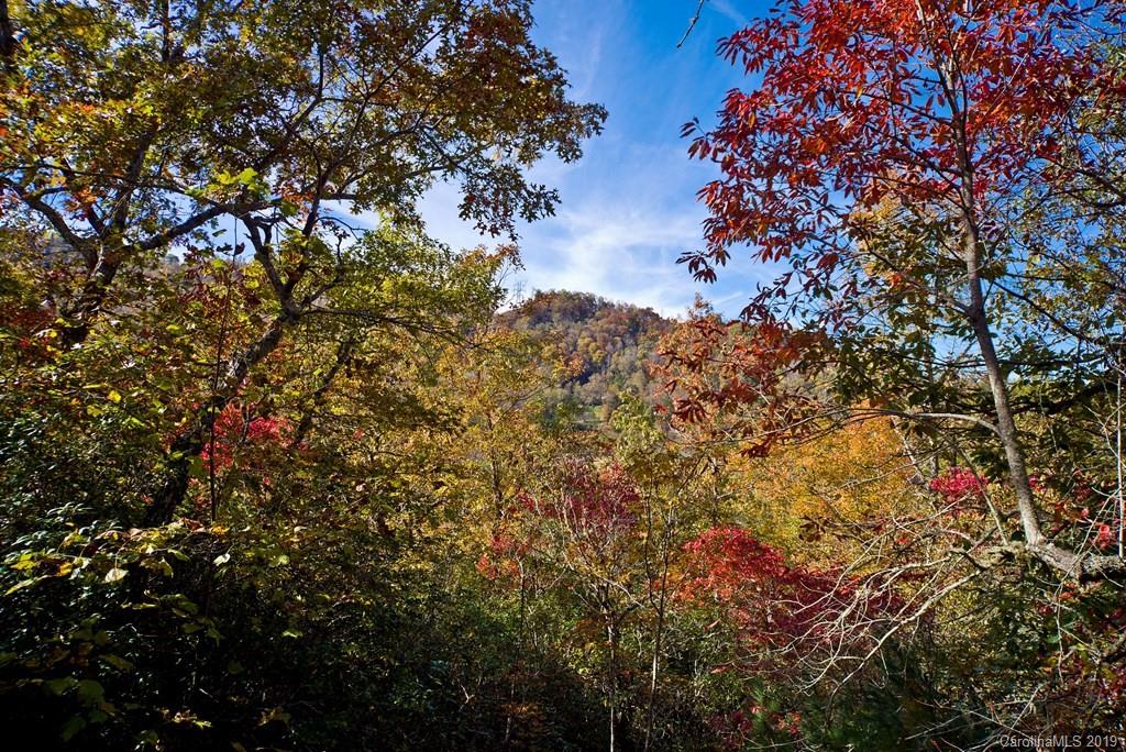 721 Moody Bridge Road Cullowhee, NC 28723 - Photo 18 of 26 Gallery Image 18