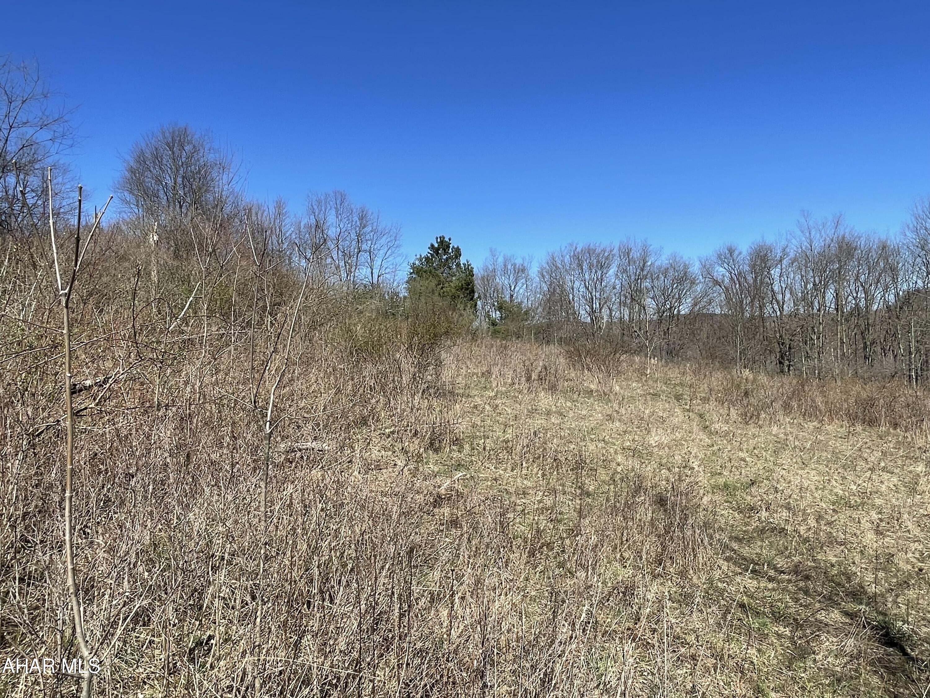 . Brick Road Ebensburg, PA 15931 - Photo 10 of 20