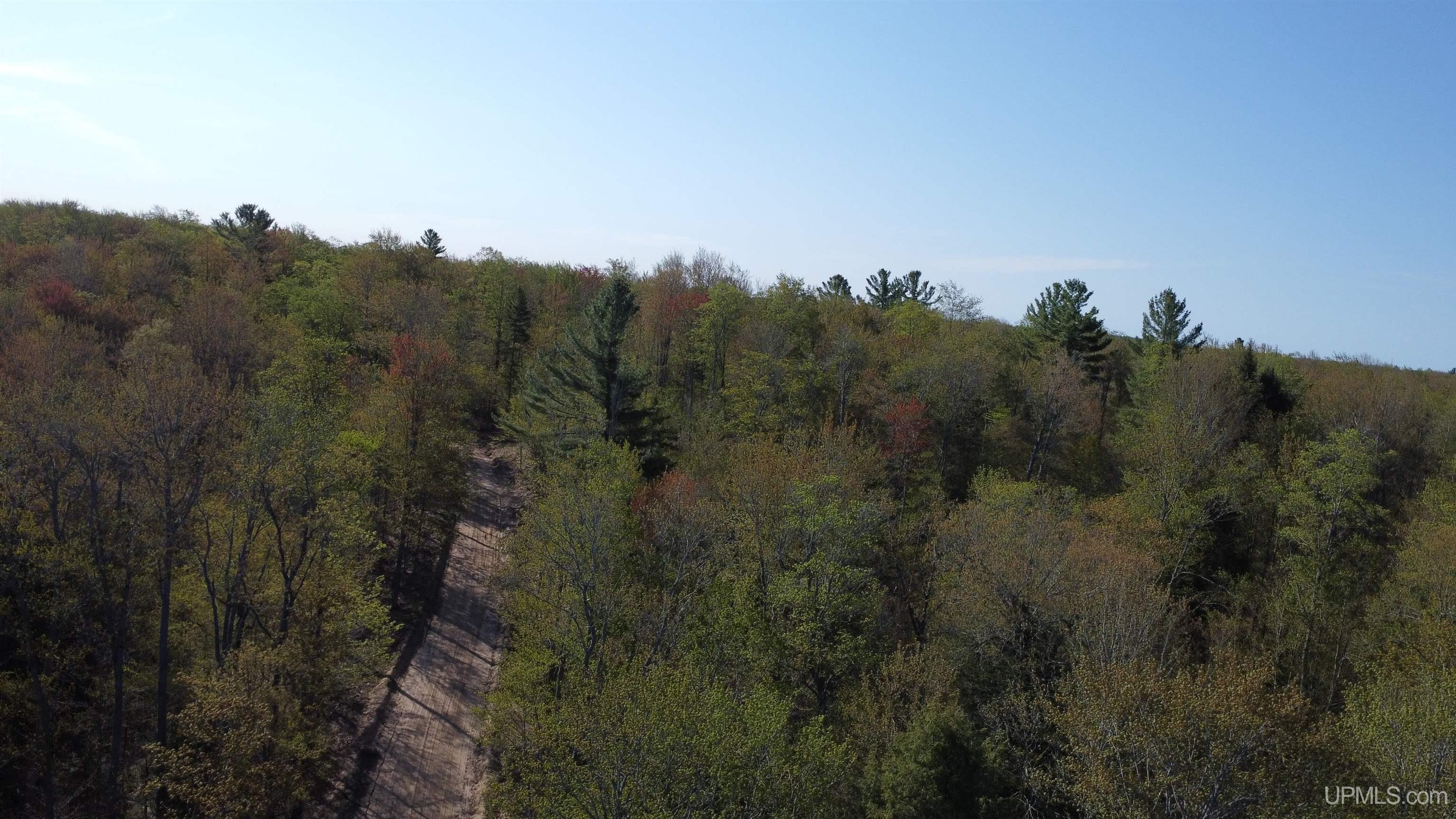 On Wolf Lake Road McMillan, MI 49853 - Photo 6 of 37