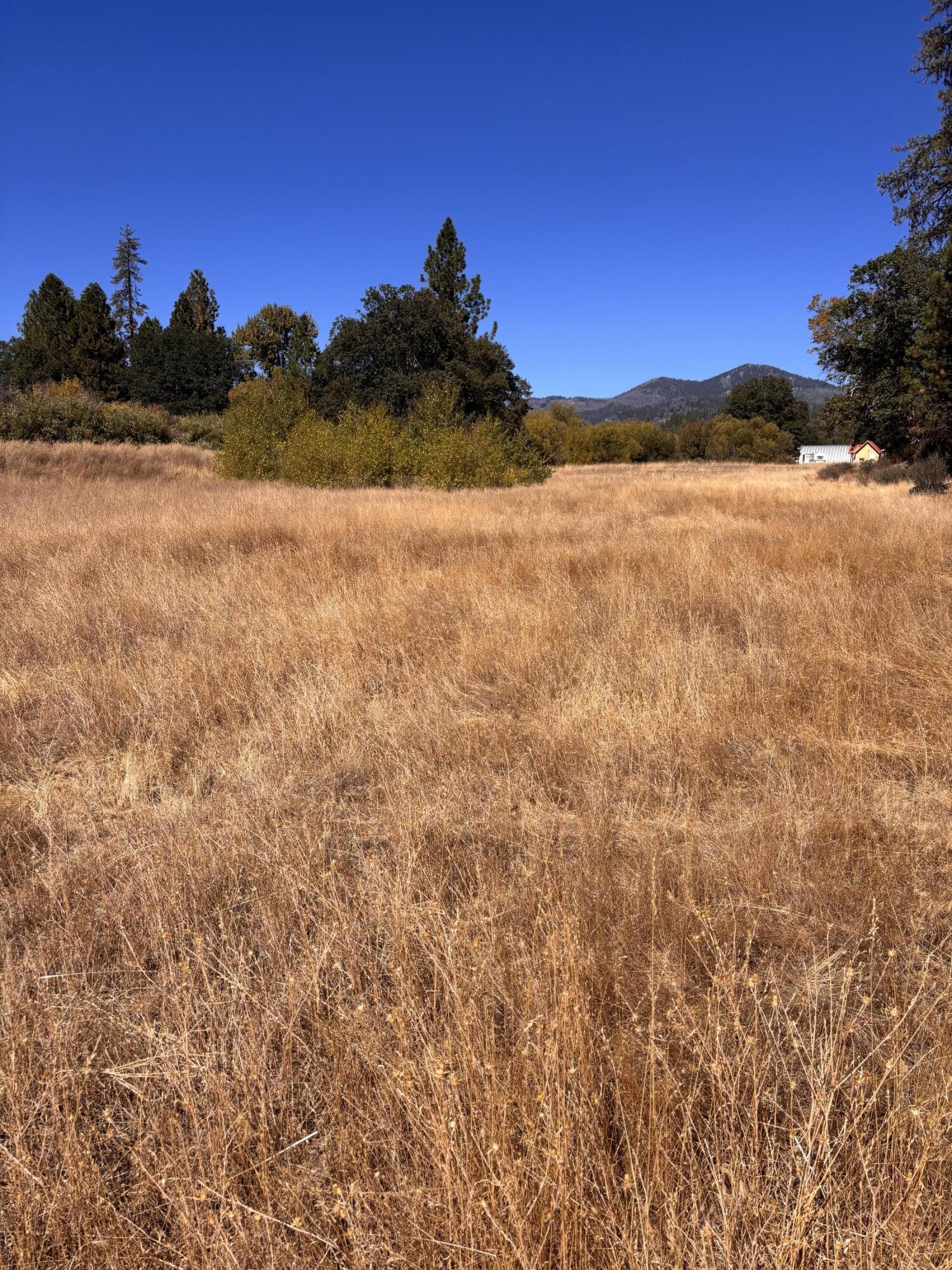 775 Barker Valley Road Hayfork, CA 96041 - Photo 13 of 41 Lower area