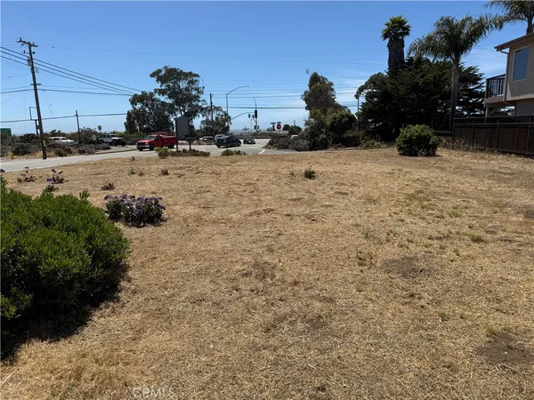 a view of a yard with plants