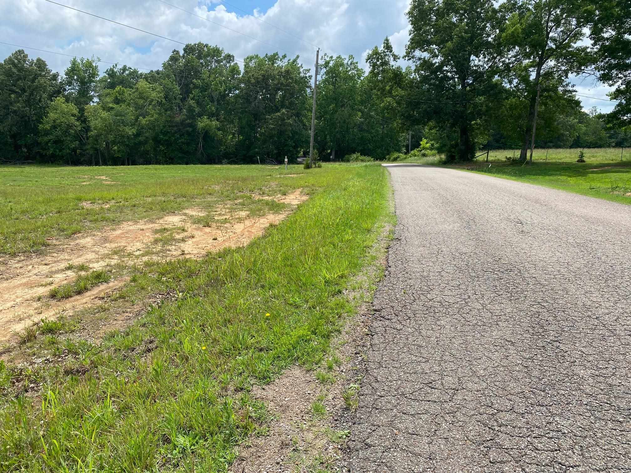 Old Morris Chapel Road Adamsville, TN 38310 - Photo 6 of 13