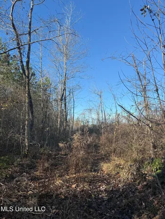 $129,500 | 231 County Road, Mantee, MS 39751