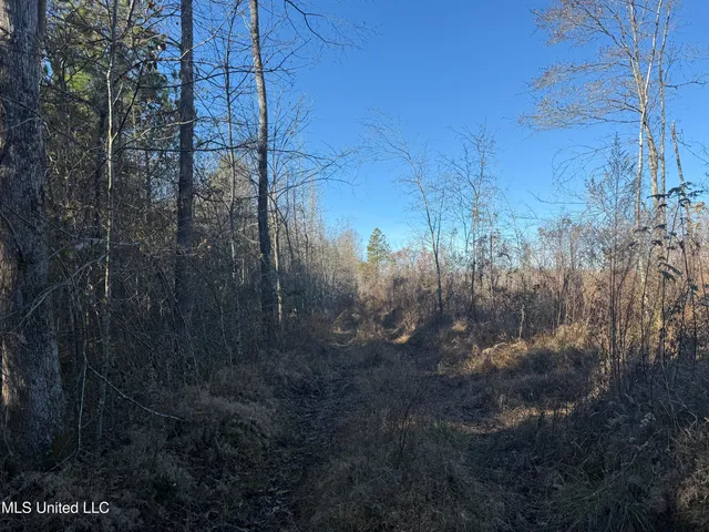 $129,500 | 231 County Road, Mantee, MS 39751