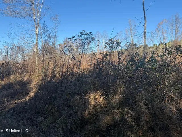 $129,500 | 231 County Road, Mantee, MS 39751