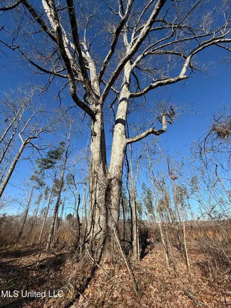 $129,500 | 231 County Road, Mantee, MS 39751