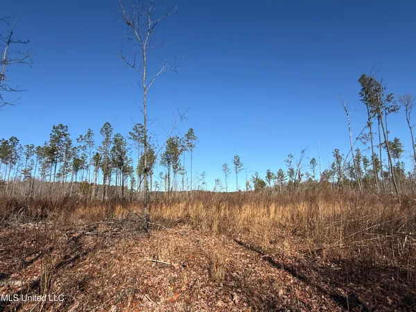 $129,500 | 231 County Road, Mantee, MS 39751