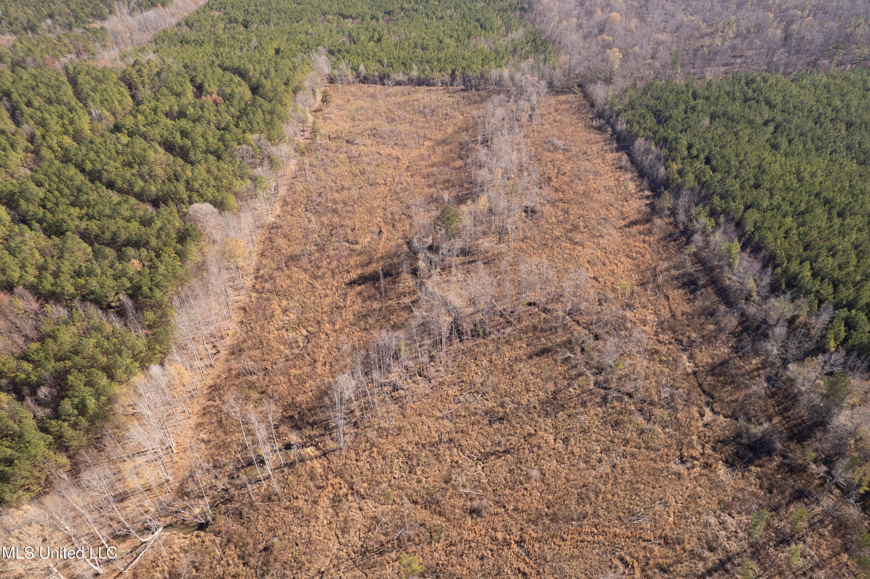 dji_fly_20251219_102308_961_176616172998