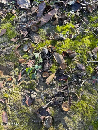 $129,500 | 231 County Road, Mantee, MS 39751