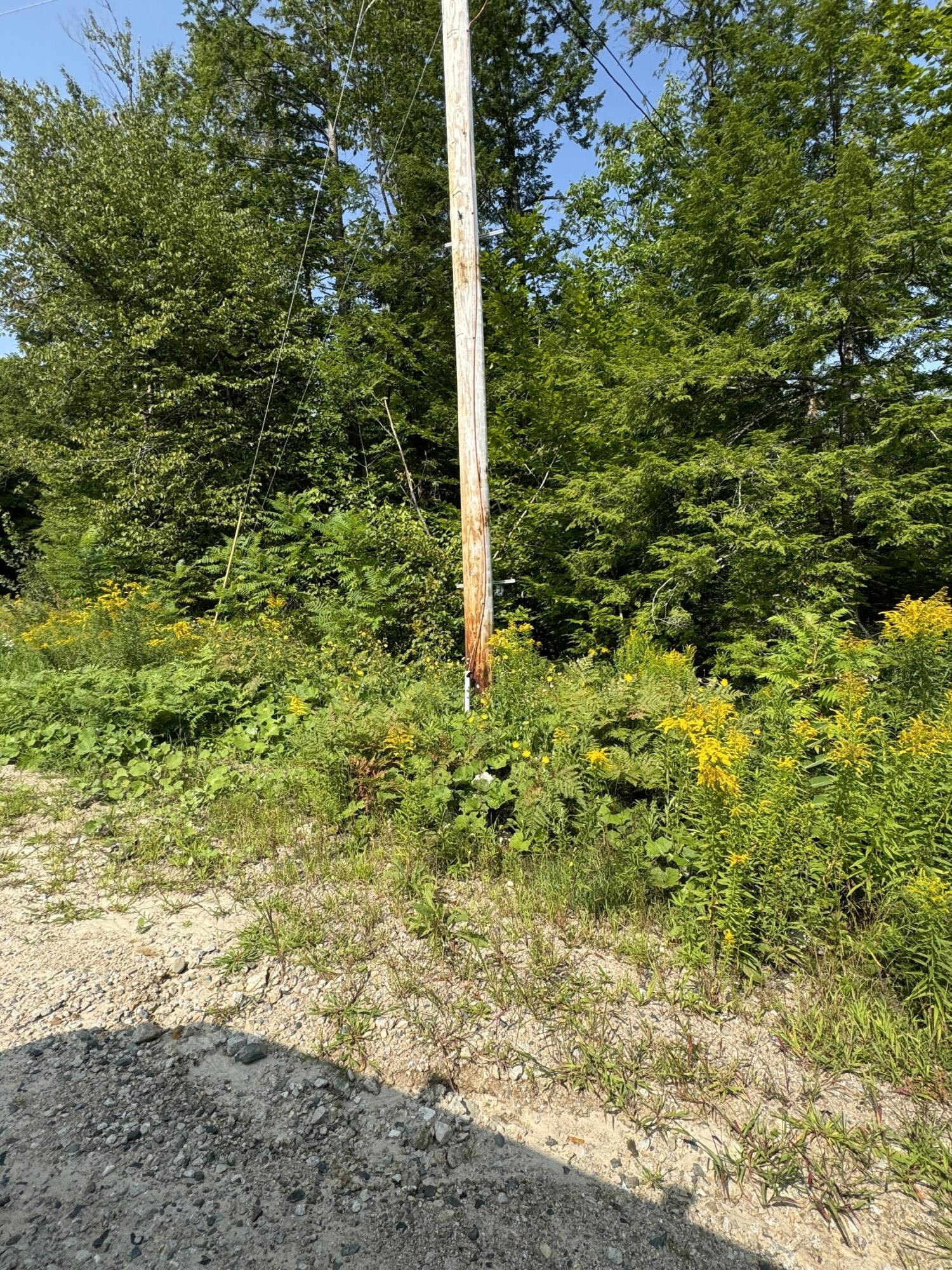 Lot #9 Ward Road Sebago, ME 04029 - Photo 2 of 6 IMG_9325