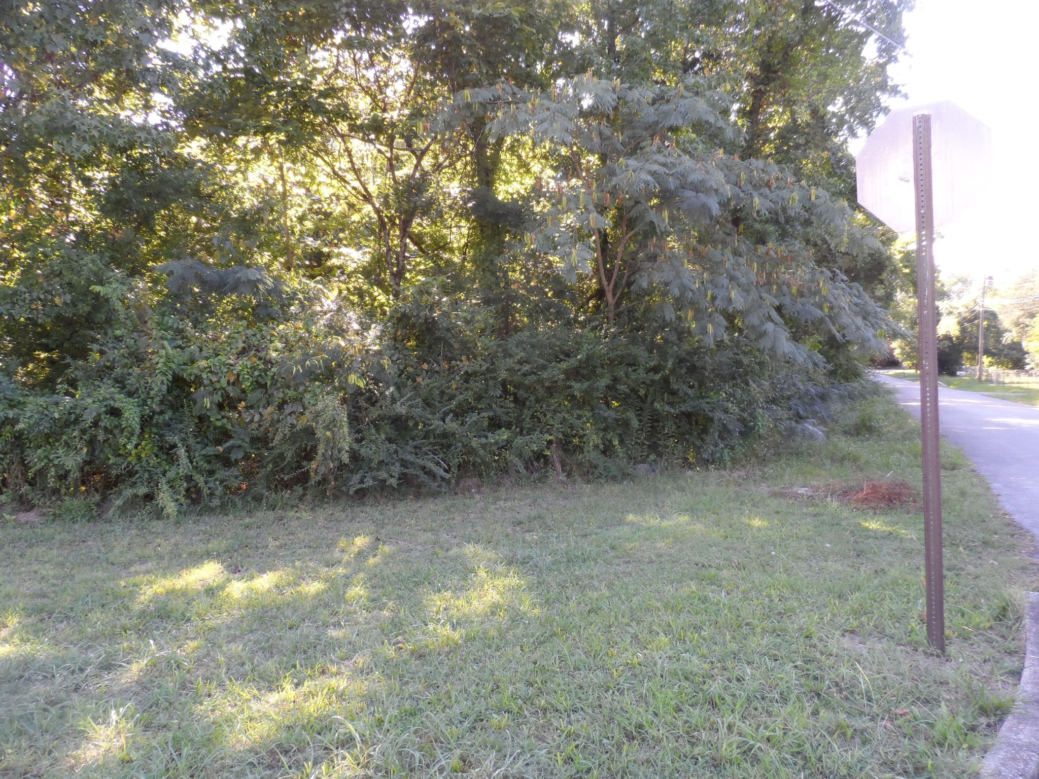 0 West Shepherd Road Chattanooga, TN 37421 - Photo 2 of 9 Gallery Image 2