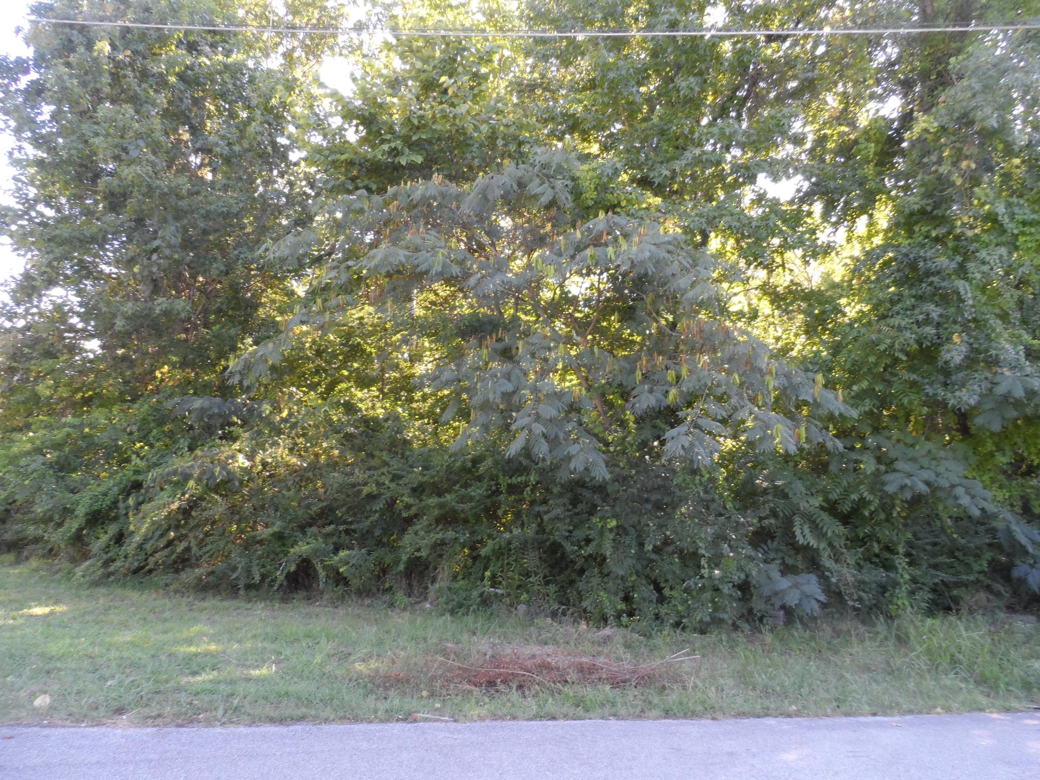 0 West Shepherd Road Chattanooga, TN 37421 - Photo 6 of 9 Gallery Image 6