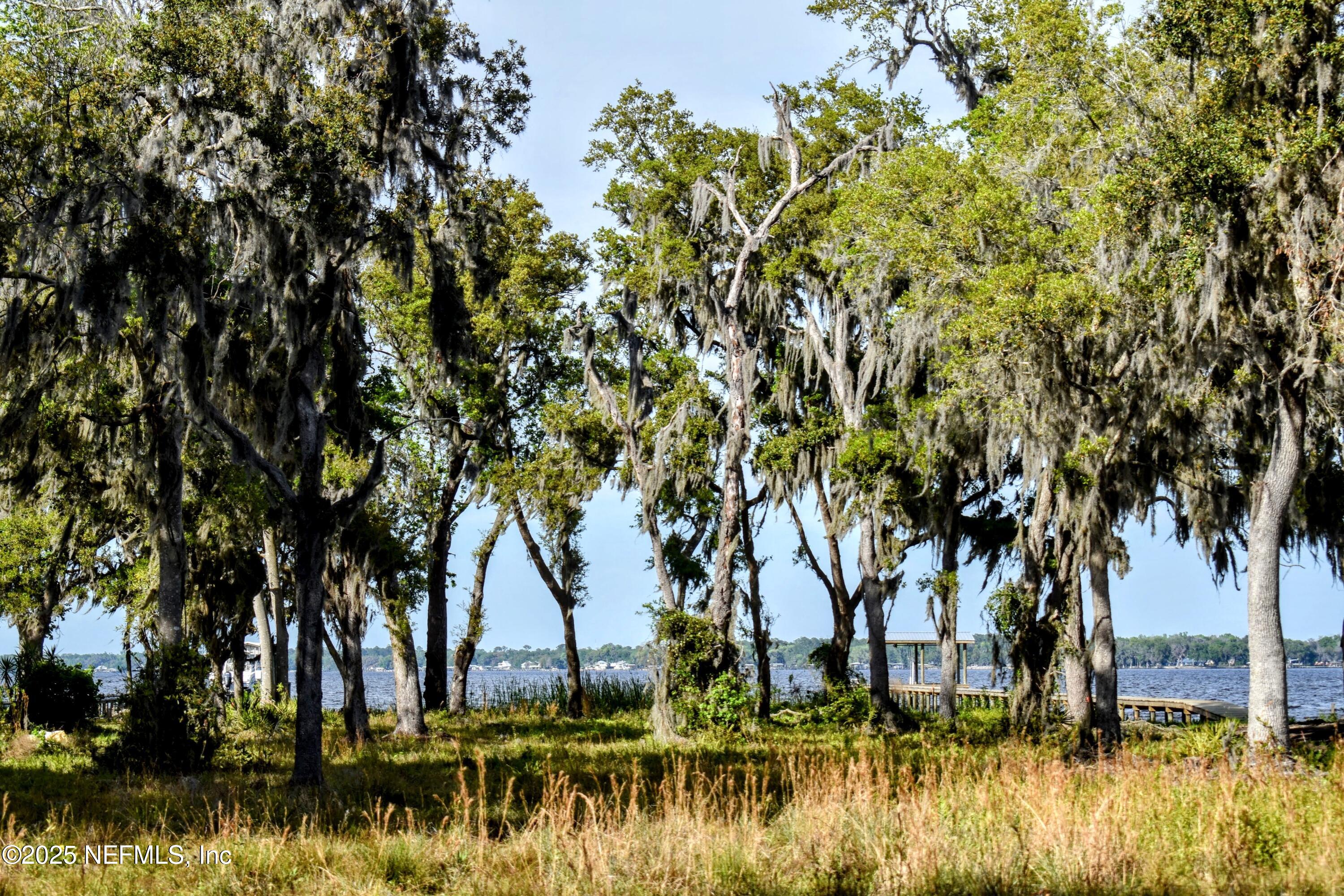 112 Bunch Road Palatka, FL 32177 - Photo 6 of 15 DSC_0096-EDIT