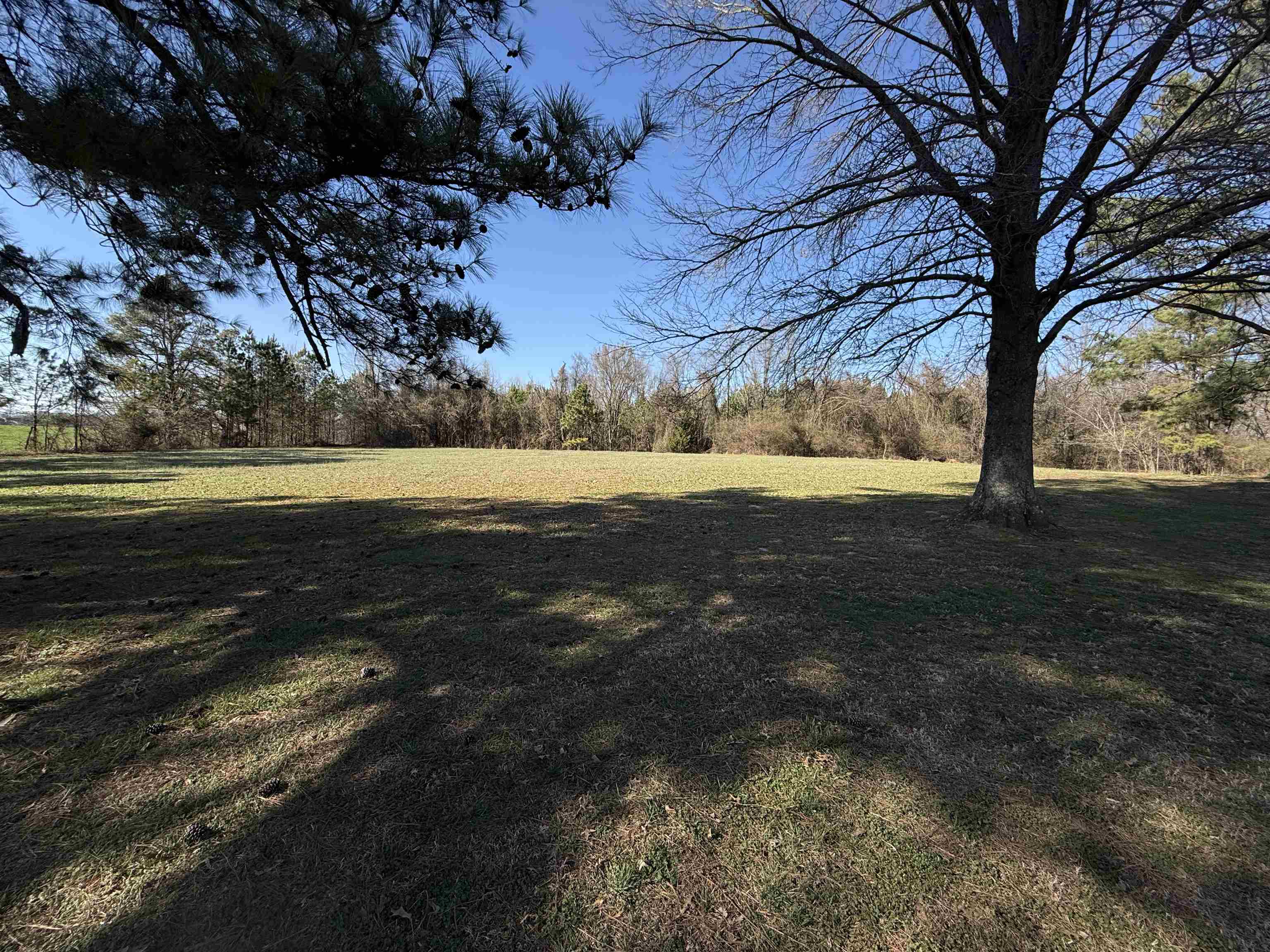 754 McWilliams Road Covington, TN 38019 - Photo 30 of 35