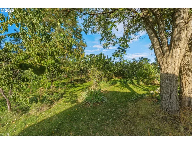 a backyard of a house with lots of green space