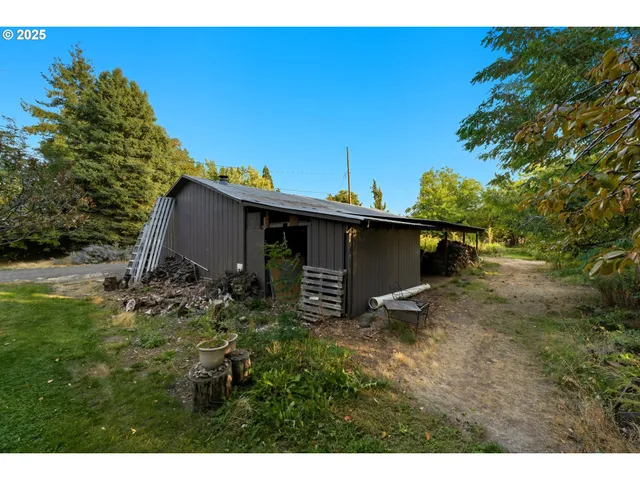 a view of a backyard with plants