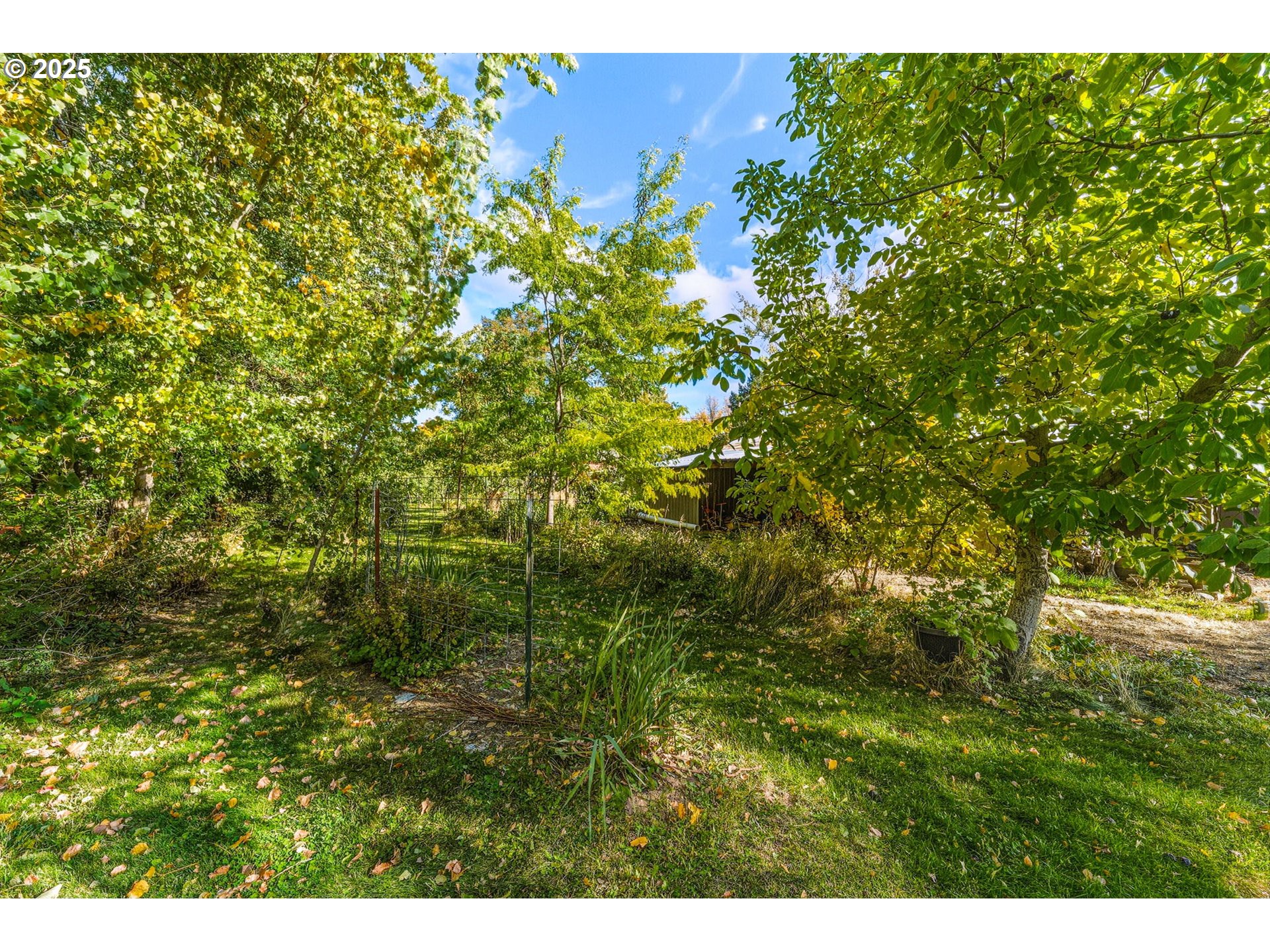 327 Powell Road Milton Freewater, OR 97862 - Photo 22 of 48 a view of a bunch of trees and bushes