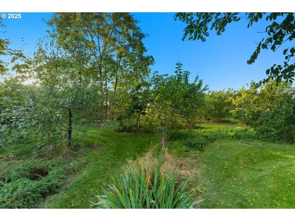 a view of a garden