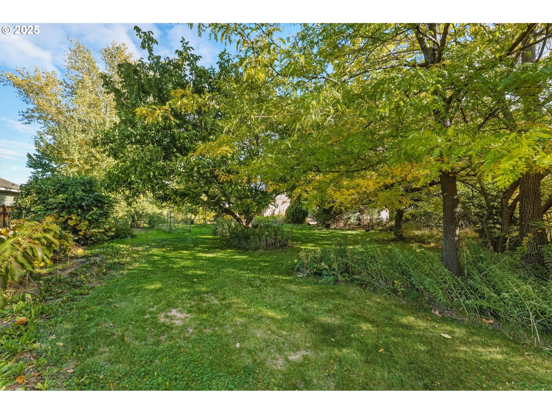 327 Powell Road Milton Freewater, OR 97862 - Photo 33 of 48 a view of a big yard with plants and large trees