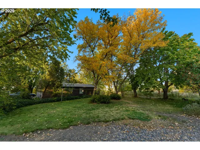 a view of a backyard