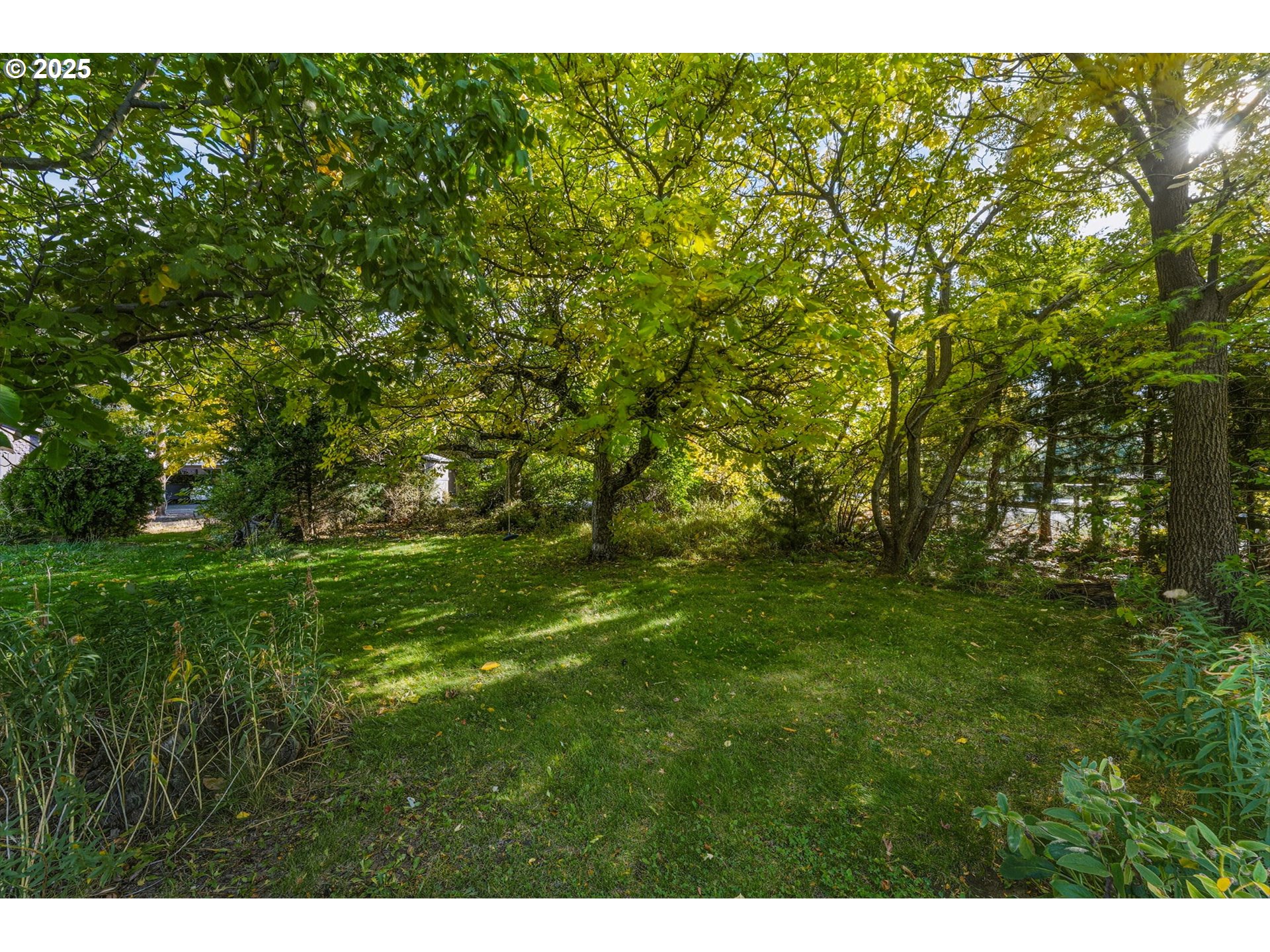 327 Powell Road Milton Freewater, OR 97862 - Photo 4 of 48 a green field with lots of trees